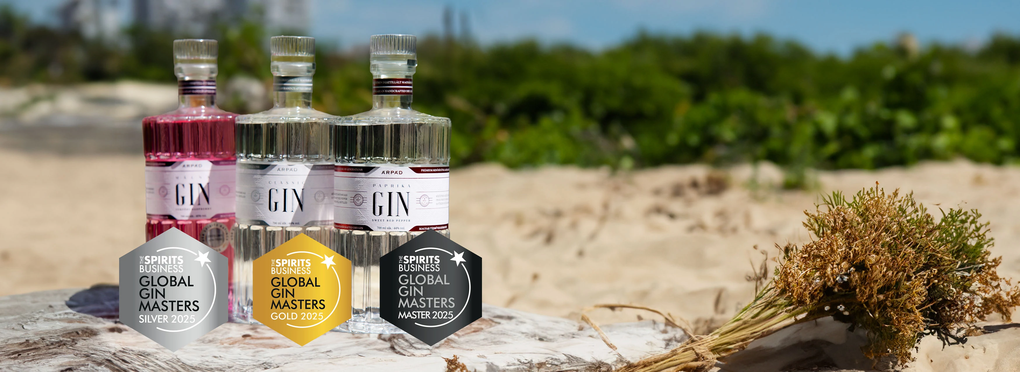 Gin Master 2025